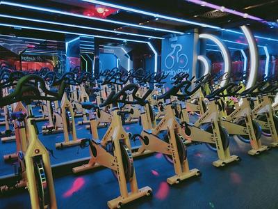 金吉鸟 瑜伽舞蹈游泳健身